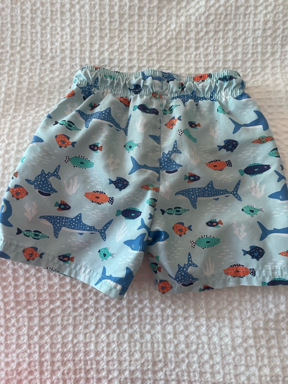 Kids Swim Shorts - Picture 4 of 4